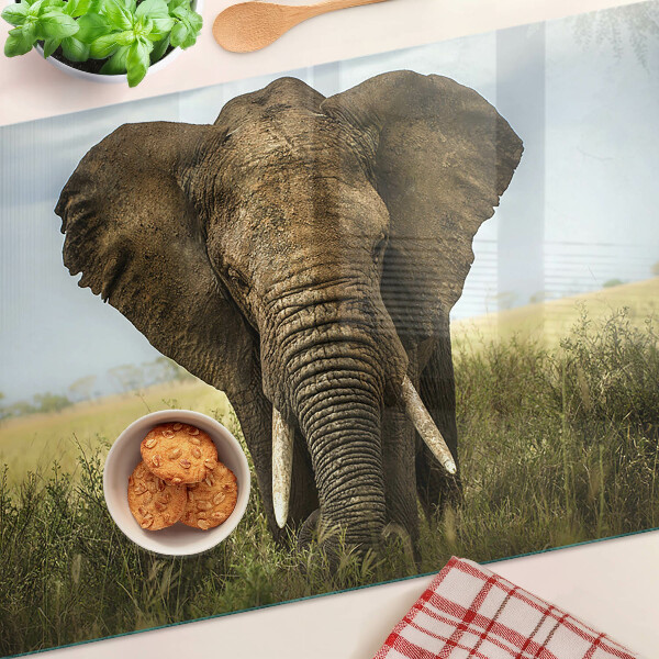 Tabla de cortar de cristal Un elefante con la sabana africana como telón de fondo