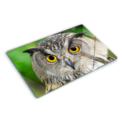 Tabla de cortar de cristal Un búho con ojos expresivos.