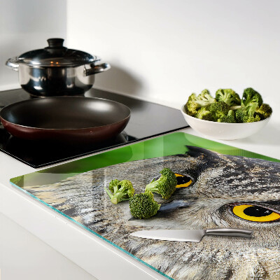 Tabla de cortar de cristal Un búho con ojos expresivos.