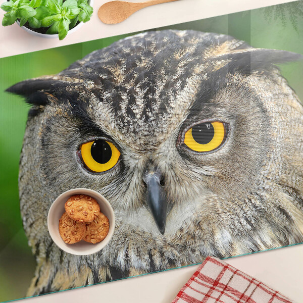 Tabla de cortar de cristal Un búho con ojos expresivos.
