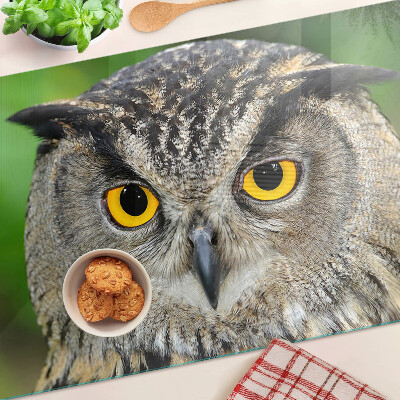 Tabla de cortar de cristal Un búho con ojos expresivos.