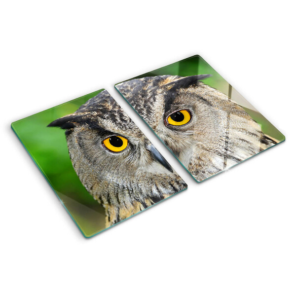 Tabla de cortar de cristal Un búho con ojos expresivos.