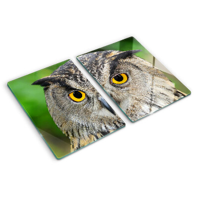 Tabla de cortar de cristal Un búho con ojos expresivos.