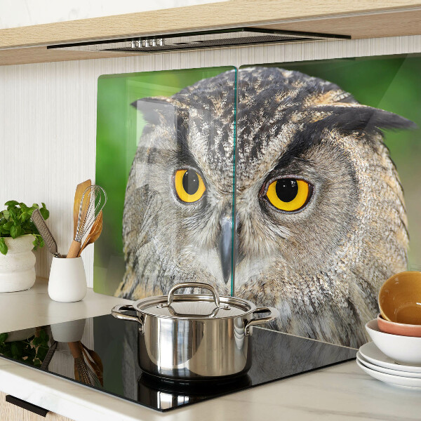 Szklana deska kuchenna Sowa z wyrazistymi oczami