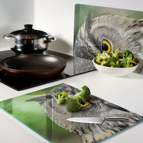 Tabla de cortar de cristal Un búho con ojos expresivos.