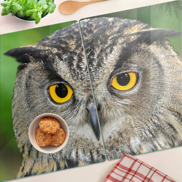 Szklana deska kuchenna Sowa z wyrazistymi oczami
