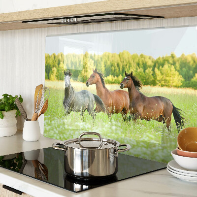 Deska kuchenna szklana Spotkanie koni na polu