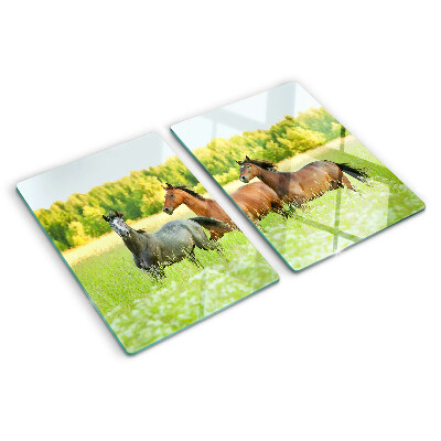 Deska kuchenna szklana Spotkanie koni na polu
