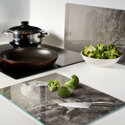 Tabla de cortar de cristal Lobo en una montaña rocosa