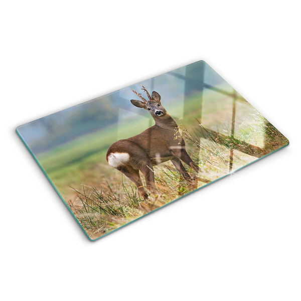 Tabla para cortar Corzo en su hábitat natural