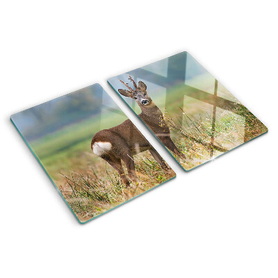 Tabla para cortar Corzo en su hábitat natural