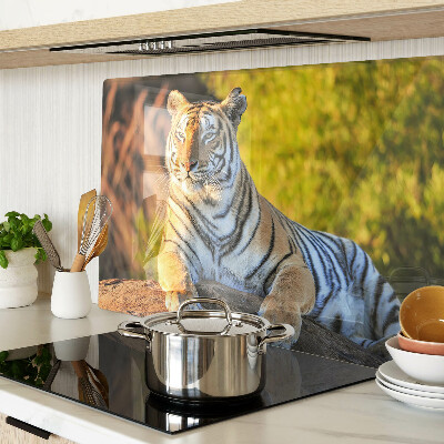 Tabla de cortar de cristal Tigre en el contexto de la naturaleza