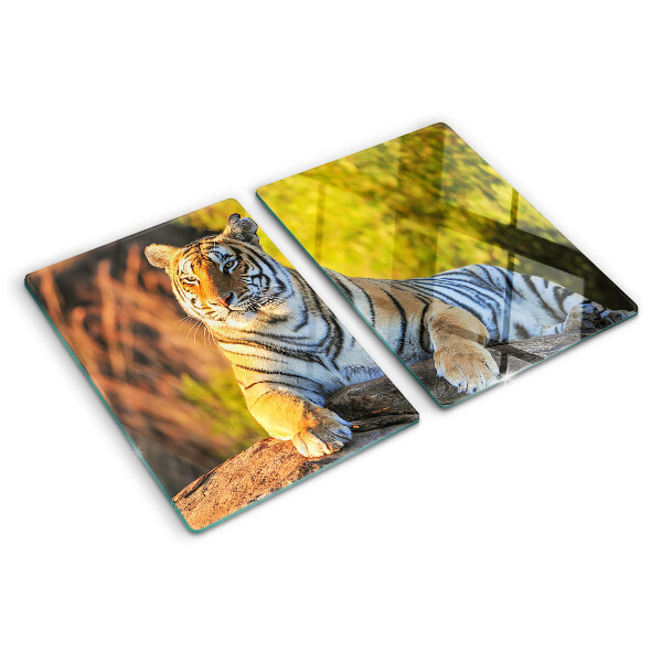 Tabla de cortar de cristal Tigre en el contexto de la naturaleza
