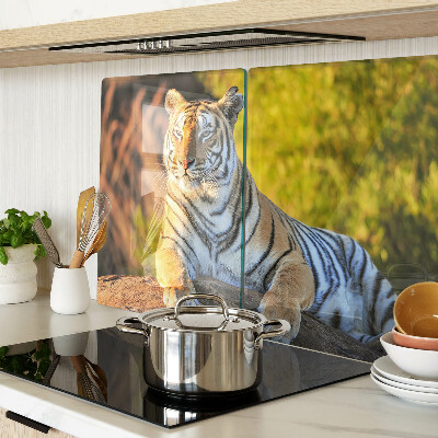 Tabla de cortar de cristal Tigre en el contexto de la naturaleza