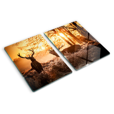 Szklana deska do krojenia Jelenie w lesie o zachodzie słońca