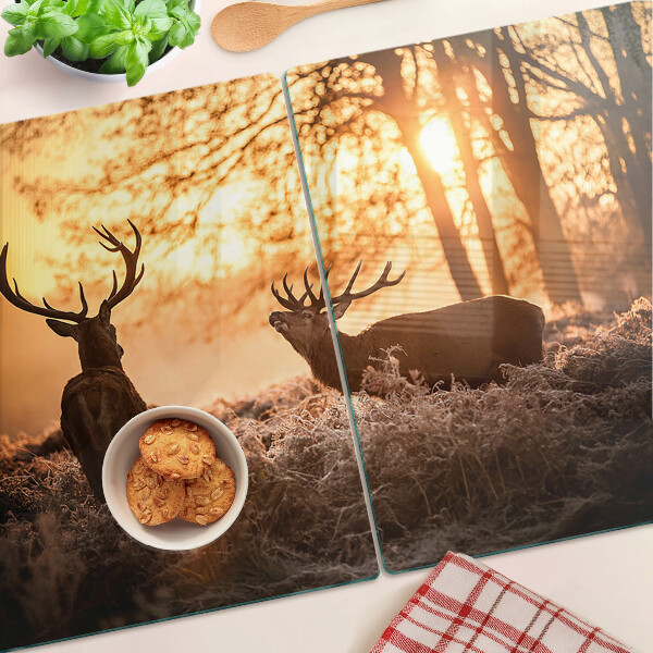 Szklana deska do krojenia Jelenie w lesie o zachodzie słońca