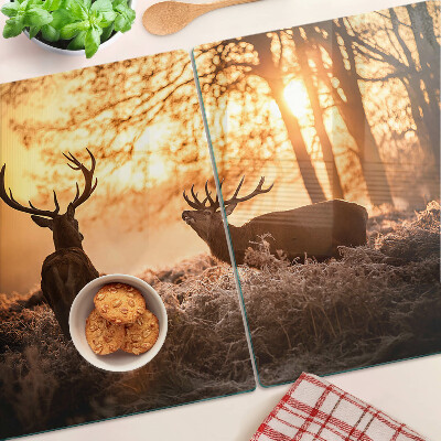 Szklana deska do krojenia Jelenie w lesie o zachodzie słońca