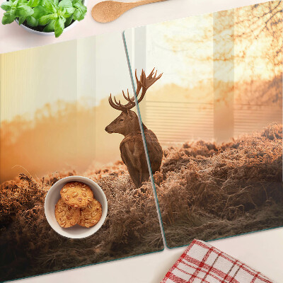 Tabla de cocina Ciervos contra el fondo del atardecer