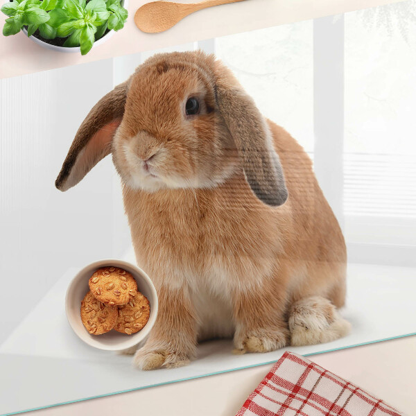 Tabla para cortar Conejo sobre fondo blanco