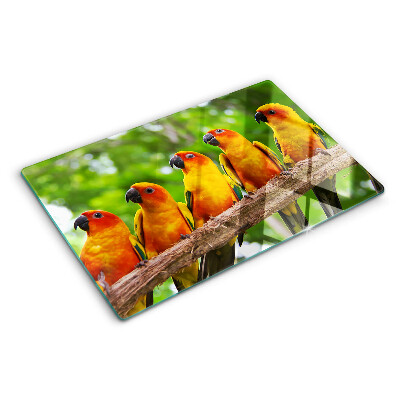 Tabla para cortar Loros en una rama