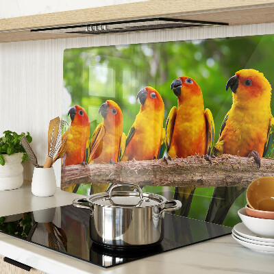 Tabla para cortar Loros en una rama