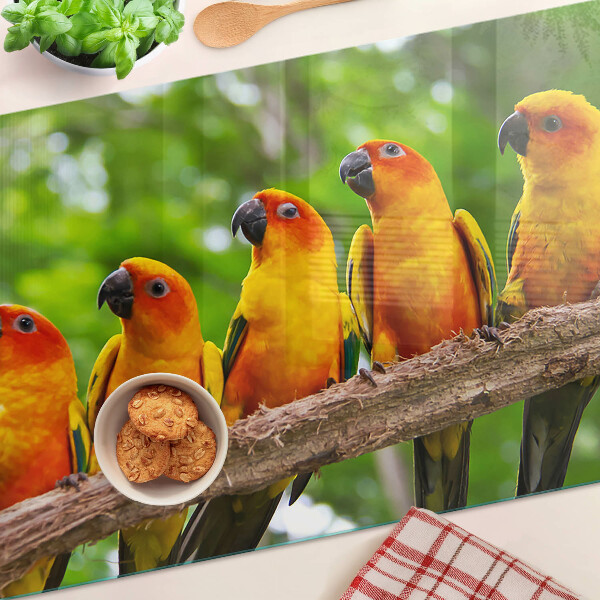 Tabla para cortar Loros en una rama