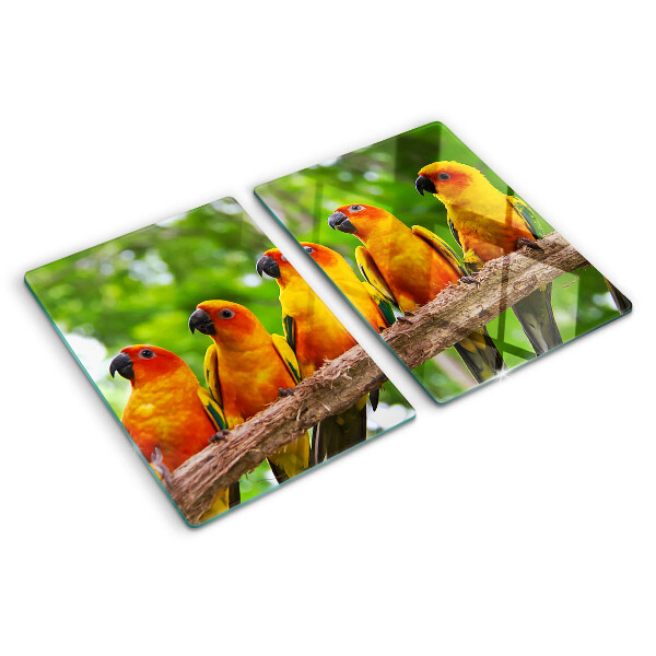 Tabla para cortar Loros en una rama