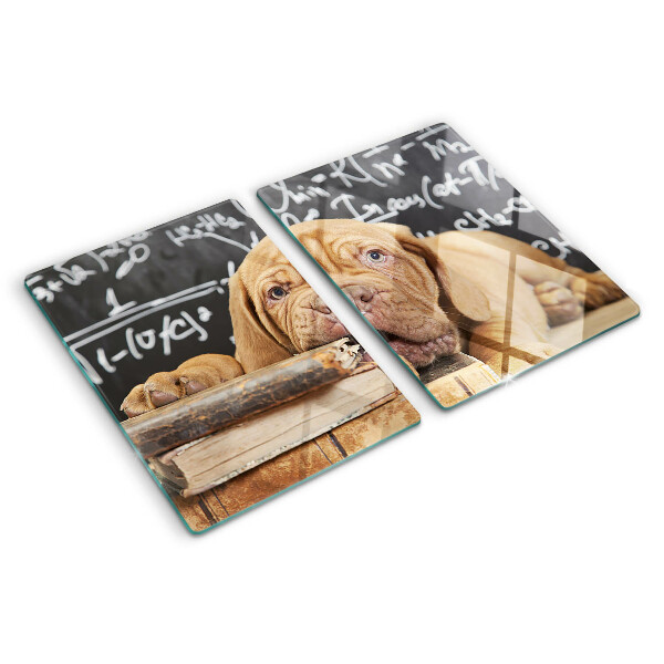 Tabla de cortar Perro con libros y una pizarra.