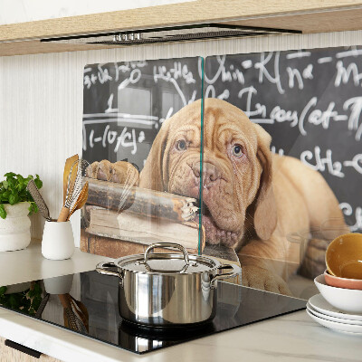 Tabla de cortar Perro con libros y una pizarra.