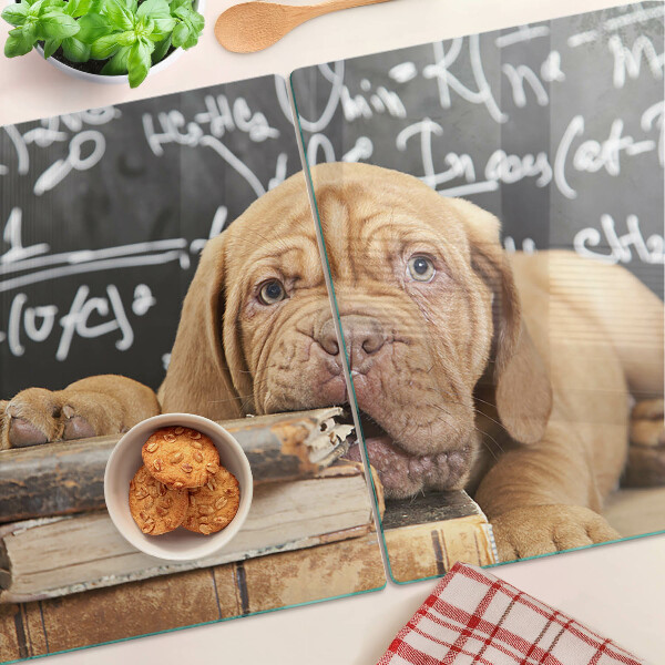 Tabla de cortar Perro con libros y una pizarra.