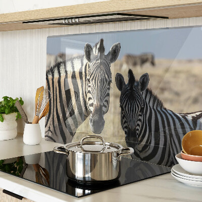 Szklana deska kuchenna Zebry w naturalnym środowisku