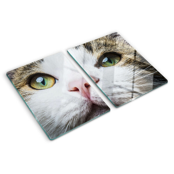 Tabla para cortar Un gato con ojos verdes