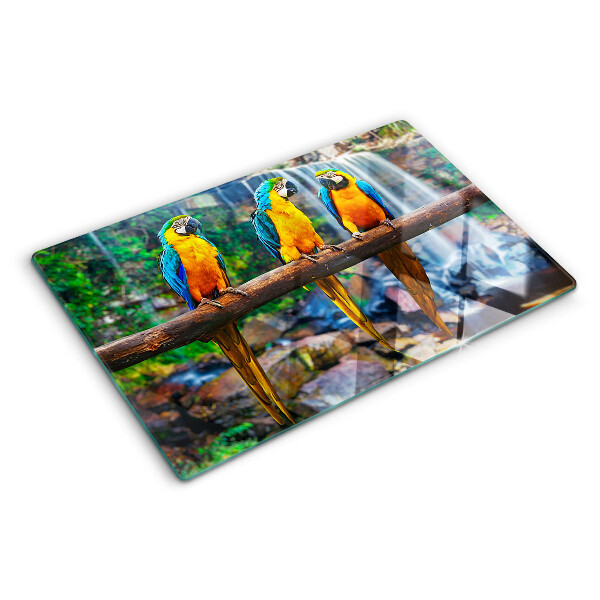 Tabla de cortar Loros en una rama en un bosque tropical.