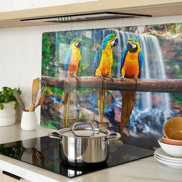 Tabla de cortar Loros en una rama en un bosque tropical.