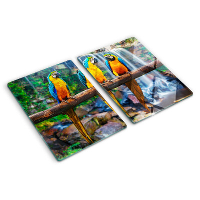 Tabla de cortar Loros en una rama en un bosque tropical.