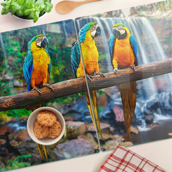 Tabla de cortar Loros en una rama en un bosque tropical.