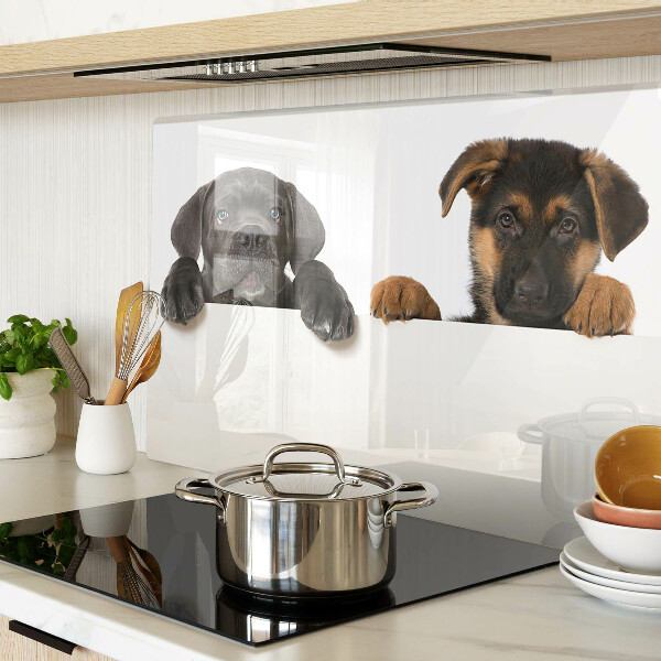 Szklana deska do krojenia Dwa pieski rozglądające się