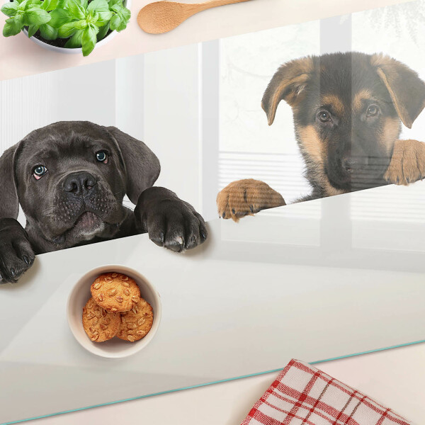 Tabla para cortar Dos perros mirando a su alrededor