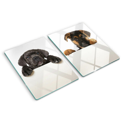 Szklana deska do krojenia Dwa pieski rozglądające się
