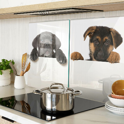 Tabla para cortar Dos perros mirando a su alrededor