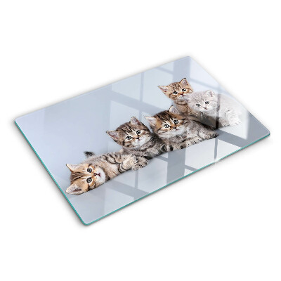 Szklana deska kuchenna Koty na tle okna