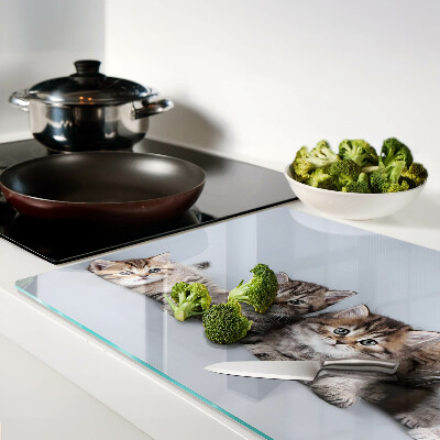 Tabla de cortar Gatos frente a la ventana