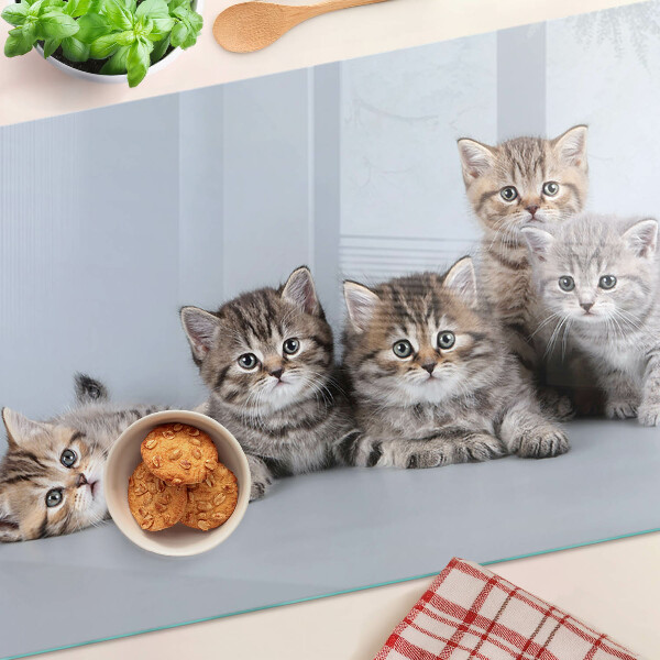 Tabla de cortar Gatos frente a la ventana