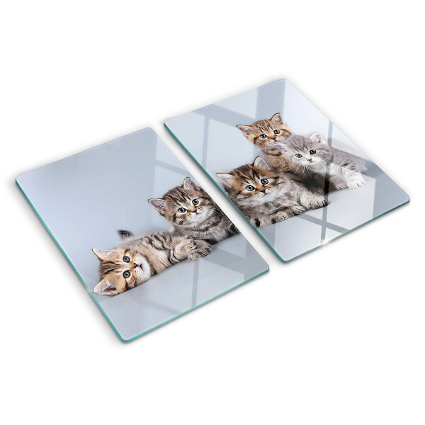 Tabla de cortar Gatos frente a la ventana