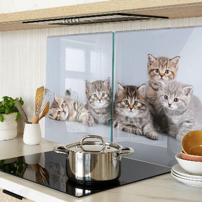 Tabla de cortar Gatos frente a la ventana