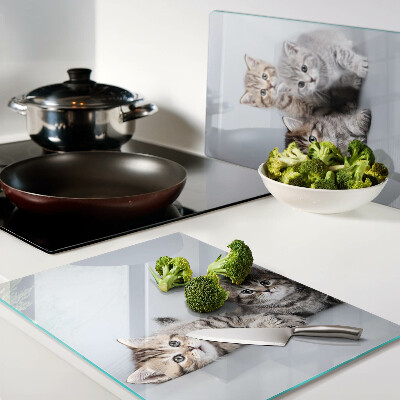 Tabla de cortar Gatos frente a la ventana