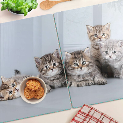 Tabla de cortar Gatos frente a la ventana