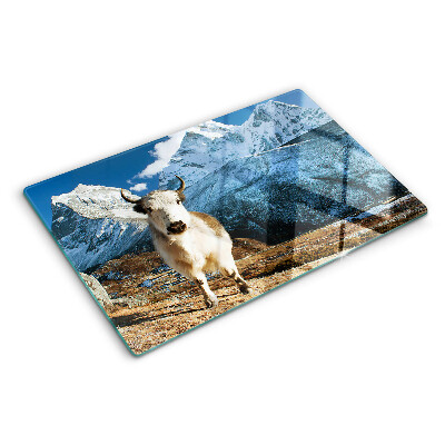 Szklana deska kuchenna Krowa w górach