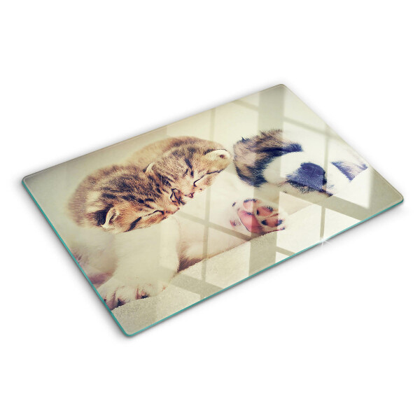 Tabla para cortar Gatos y un perro durmiendo juntos