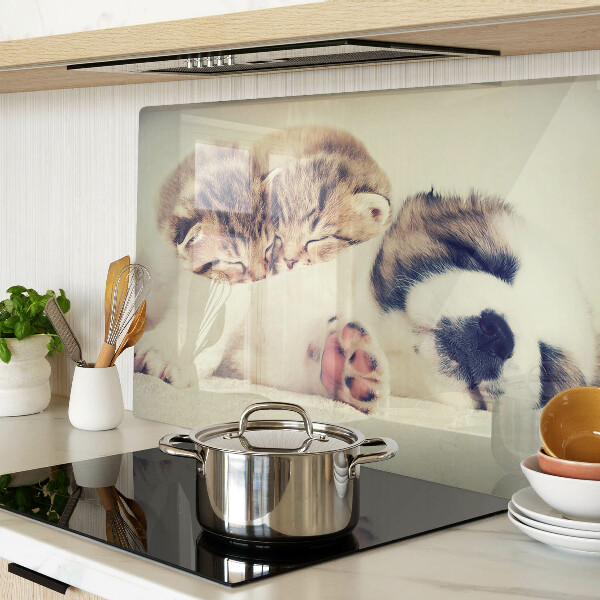 Tabla para cortar Gatos y un perro durmiendo juntos